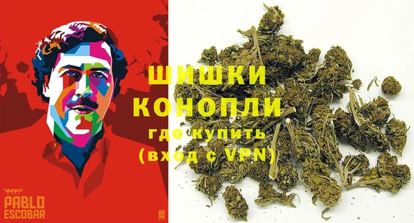 твердый Абаза