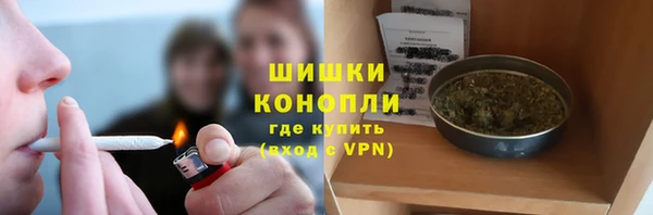 PSILOCYBIN Абдулино