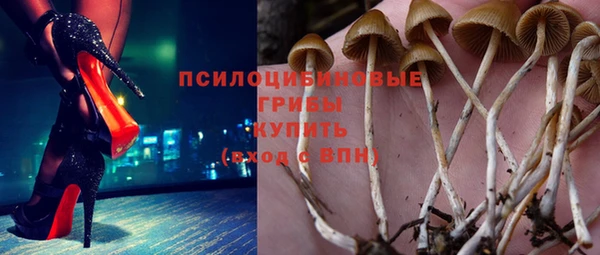 PSILOCYBIN Абдулино